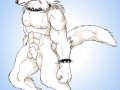 white_fang.jpg